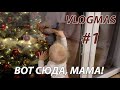 ПОСТАВИЛИ ЕЛКУ! РЕАКЦИЯ НАСТИ НА НЕЕ!⛄ VLOGMAS 🎄