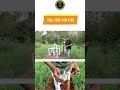 33 Valve 18 ஏக்கரில் மலிவு விலையில் (Tap System) பாசனம் | Automatic Drip Irrigation | Country Farmss