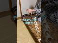 和楽器でテイクファイブ(Take Five)