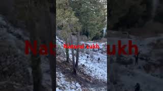 Ye haseen wadiya ye khula asman #music #bollywood #rojaspeech