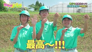 Light of the Future: Nichinan Shintoku High School (Aired July 12