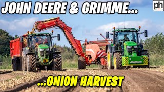 HARVESTING ONIONS AT THORESBY FARMING #harvestingonions
