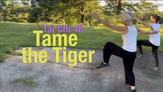 TAI CHI 48 | Balance | Slap the Foot and Tame the Tiger