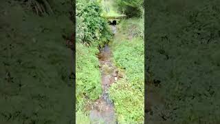 Rumbo a Valdebárcena la Asturias Profunda #Concejo #Villaviciosa #asturspain #prerrománico