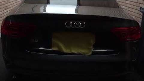 Audi S5 Dynamic Indicators