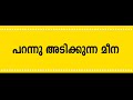 പറന്നു അടിക്കുന്ന മീന