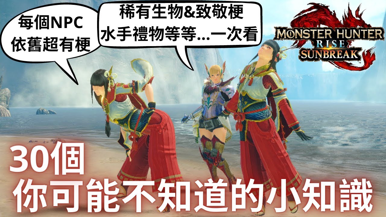 魔物獵人崛起破曉 你可能不知道的彩蛋小知識隱藏要素，一次30個看光光，只差看不透姊妹倆的...