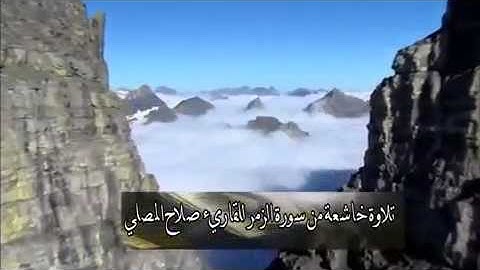 تلاوه خاشعه من سوره الزمر للقارئ صلاح المصلي