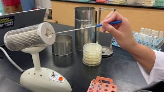 MCB3020L: Ch  6 Aseptic Technique