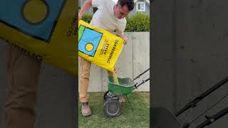 How to level your bumpy lawn using sand #lawncare #homeimprovement