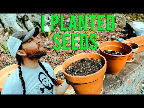 I Planted Some Seeds