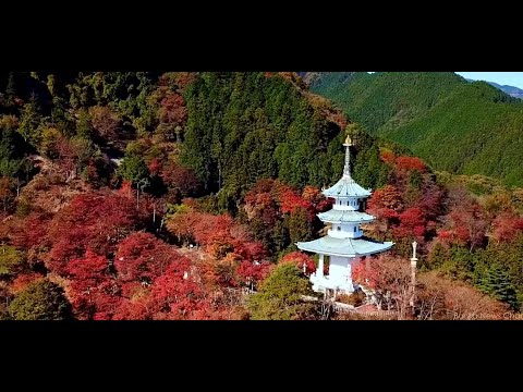 燃え立つ紅葉 上名栗 鳥居観音 Youtube