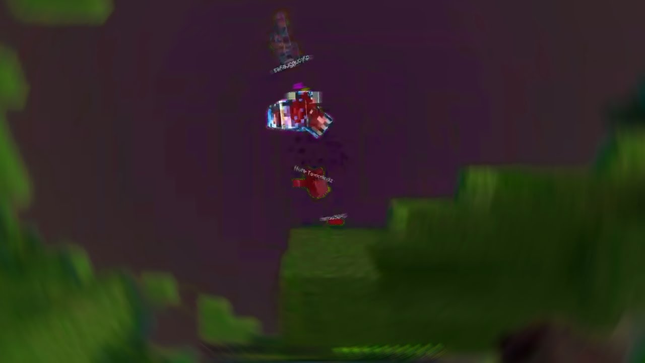 minecraft realm wither clips - svittiy