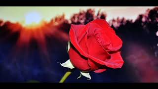 Yusufu Kaybettim Fon (Ney) Müziği