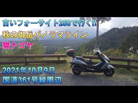 グリップヒーターNEETSUS K2tecマフラー付】ホンダ フォーサイトEX 250