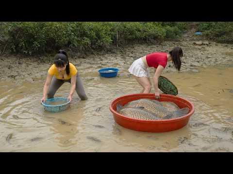 [ TIMELAPSE ] Two Girls Harvested Giant Fish From the Muddy Pond and Prepared Them for Market