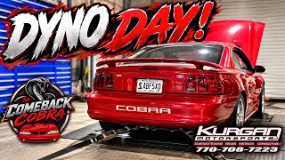 Dyno Day & The First Drive - The Comeback Cobra: 305 WHP!