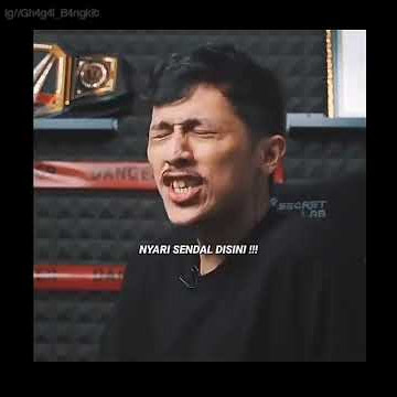 story wa picky picks