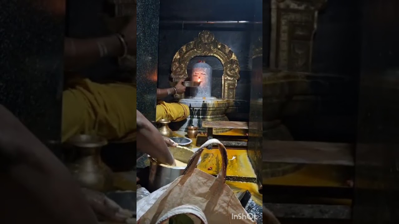 24-6-2024 3:00am  திங்கட்கிழமையில் வாரந்தோறும் அருள் புரியும் காசி விஸ்வநாதர் அருள்🙏