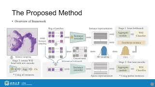 Task Specific Fine Tuning for Weakly Supervised Pathology Whole Slide Image Classification