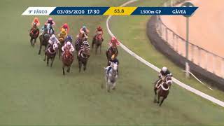 Vidéo de la course PMU PREMIO HIBISCO