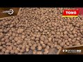 LAMMA 2025 Showcase Video LAMMA 2025 Showcase Video