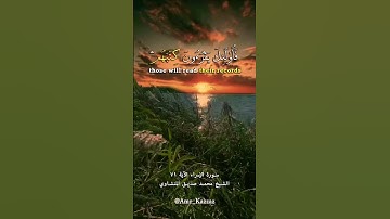 سورة الإسراء الآية ٧١ الشيخ محمد صديق المنشاوي