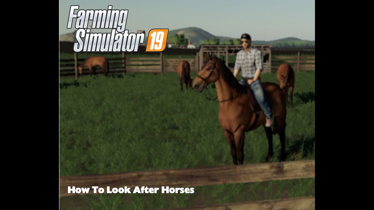 Fs19//How To//Horses YouTube