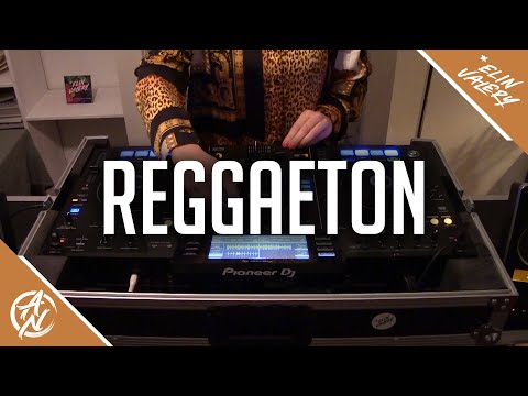 Reggaeton Mix 2019 | The Best of Moombahton 2019 | Guest Mix by Elin Valery