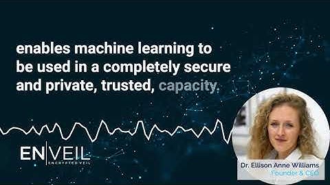 Enveil Explains: Machine Learning Model Threats