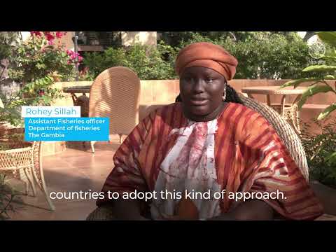 Shared Sardinella Initiative: Empowering women in northwest Africa