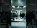 Proceso de Ordeño Automatizado | Automated Milking Process