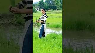 भाको एउटा जाले रूमाल  फुल भरेकोछैनnepali song #youtubeshorts#trendingshorts #shortvideos_