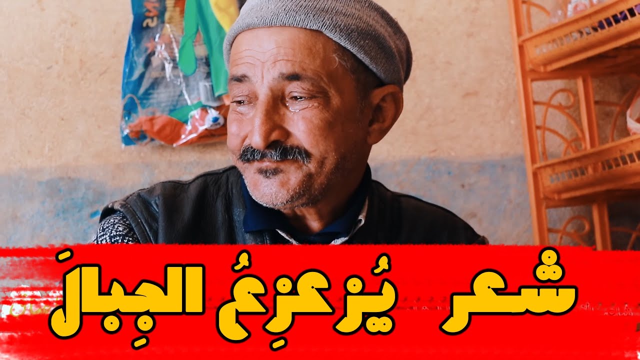 شعر الذيب  عباس حرشاني جو بدوي ركروكي