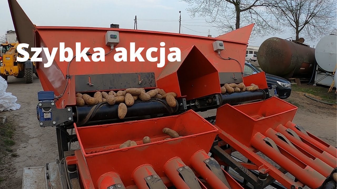 #39 Krojenie sadzeniaków 2021 w Top Farms, dewulf Miedema PGS