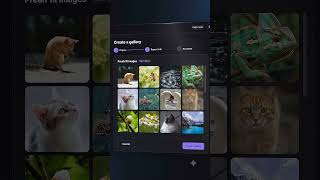 Turn Them Into Beautiful Galleries | Galleryize Demo