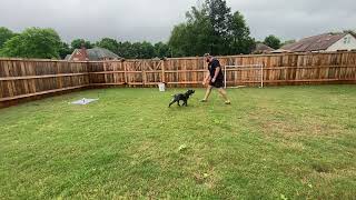 Hagen 14 weeks foundations of heel work 