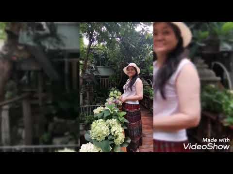 ร้านอาหาร ร้านกาแฟ แมกไม้ชายคลอง พระราม2 บางกระดี่ ฝั่งธน