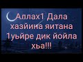 Стиглара Дхьа байна Седа Старая Чеченская Песня