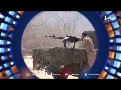 أهم الأخبار