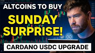 Altcoins To Buy 2026 defillamas Honest Review