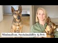 Minimalism, Sustainability &amp; Pets | Sustainable Dog Care