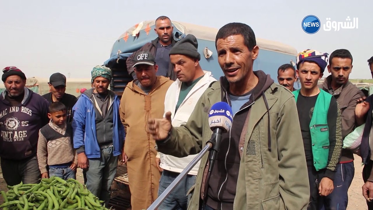 #غليزان : سوق الحرور الموسمي للخضر .. ملاذ الشباب البطال و العائلات الفقيرة