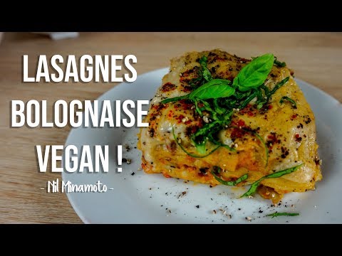 lasagnes-bolognaise-vegan-de-l'espace-!!-facile-et-rapide-!