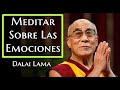 Meditar Sobre Las  Emociones-Dalai Lama