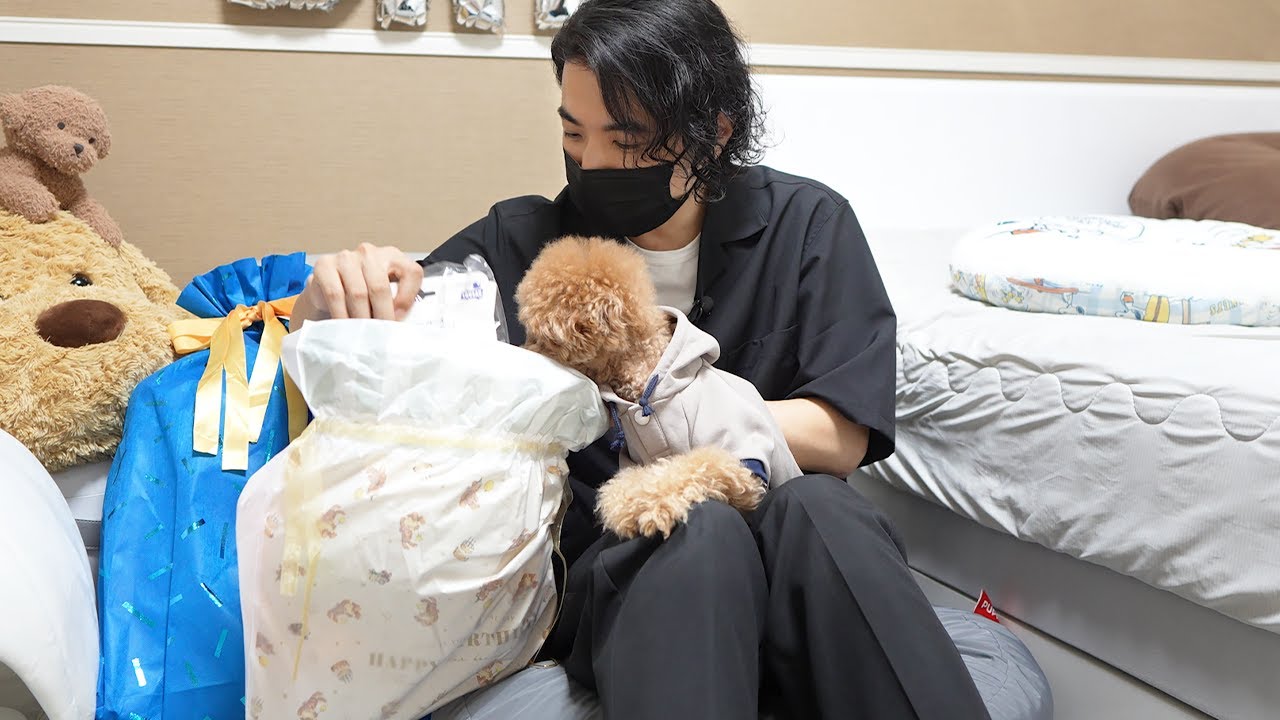 【祝4歳】愛犬の誕生日を全力でお祝いしました!