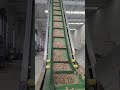 Biomass pellet production site