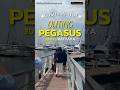 พร้อมยัง!PegasusOuting3วัน2คืนที่พัทยา🚐💨 #pegasusluggage #กระเป๋าเดินทาง #outing #pattaya