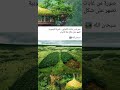 صورة واقعية للطبيعة سبحان الله الله Short 
