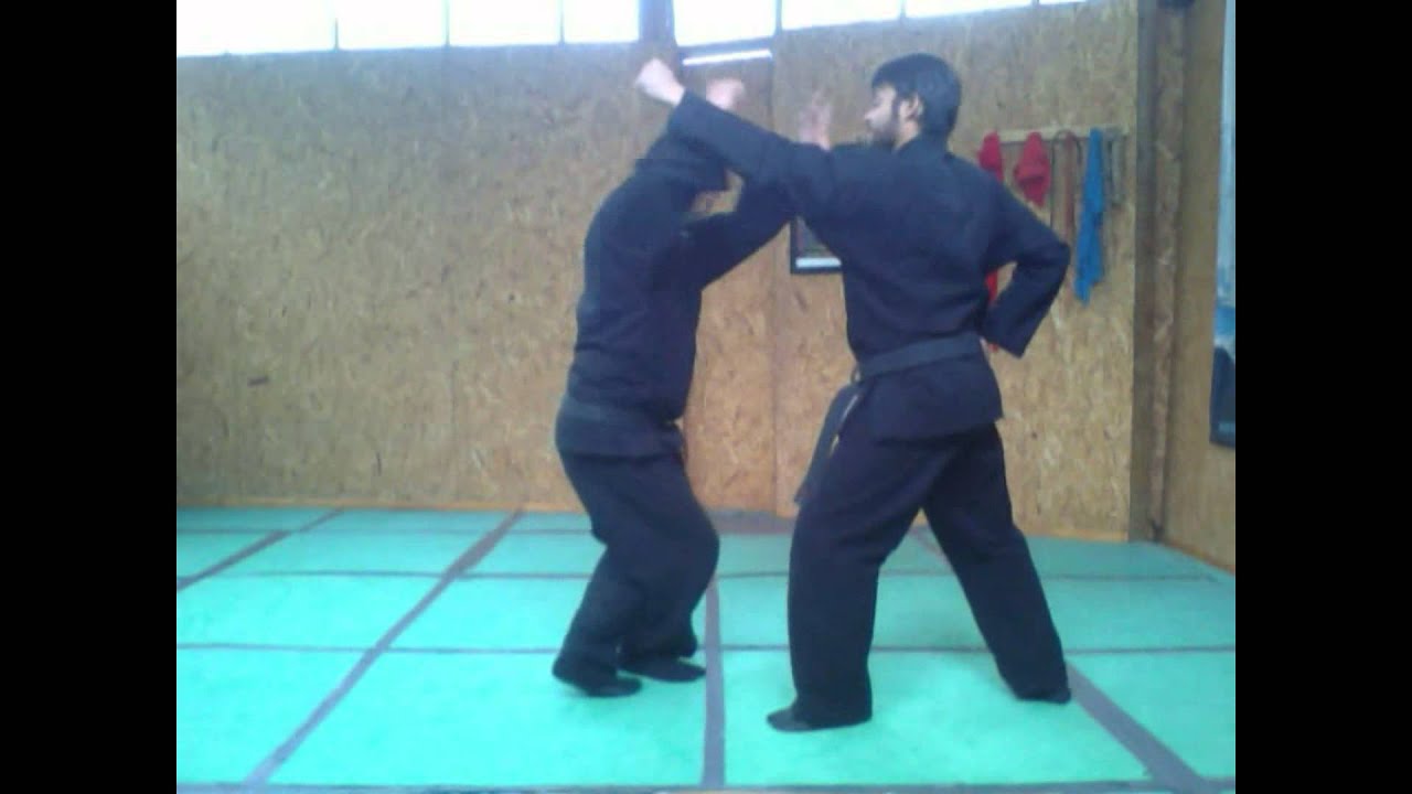 Bujinkan Budo Taijutsu: Tengu Dojo Chile I